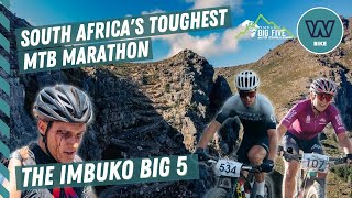 IMBUKO BIG 5 HIGHLIGHTS 2023 | THE BATTLE IN...