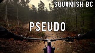 Pseudo-Tsuga  - Moody day in Squamish