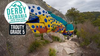 Welcome to Derby! Trouty Trail | Blue Derby...