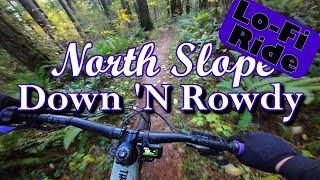 Down 'N Rowdy, North Slope || LoFi Ride