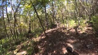 Rhetts Run Mountain Bike Trail Ride!
