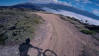 XC Ride: Skyline Trail, Upper Fall Line, Fern...