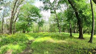 My Guitar Solo with my Nature Photos 