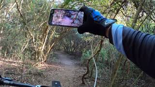 MTB Riding on trails at Cullinan Park in...