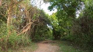 Cullinan Park MTB Trails in Sugarland Texas