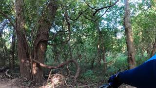 Brazos River MTB Trails Tower Run Sugarland...