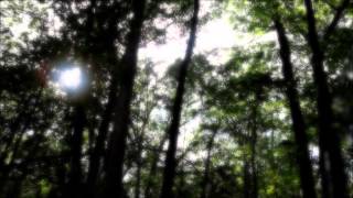 Mountain Biking At Rock Bridge State Park,...