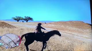 Red Dead Redemption A Wild Horse Ride PlayStation