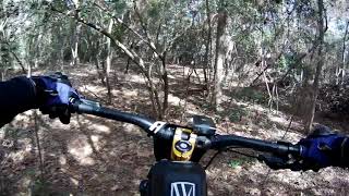 MTB RIDING AROUND TERRY HERSEY PARK CHECKING...