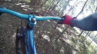 Enjoying A Nice MTB Bike Ride On The Trails....