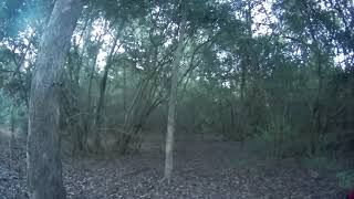 I Found Another New Trail Riding The Hyper...