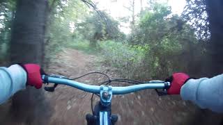 Eyes upon me riding on the trails .
