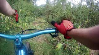MTB LOOKING FOR NEW TRAILS RIDING A LONG THE...