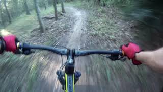 Can't Get Enough Of This Trail It's So Much Fun!!