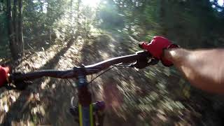 Giant Talon 2 29er  riding hardtail in the...