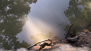 MTB looking for old bike trails
