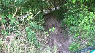 Looking for old abandon mountain bike trails...