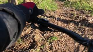 I saw some deer on mountain bike trails at...