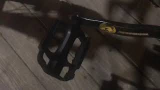 I pulled out my old Mongoose DXR mountain bike
