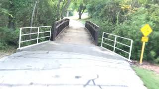 Ant hill at Hersey park trails Houston Texas