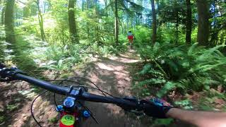 Yarder @ North Mountain - Trail Preview