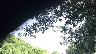 MTB Hersey trails fast morning workout part 3