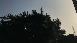 MTB Hersey trails fast morning workout part 1