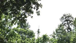 Hersey park trails having fun part 9