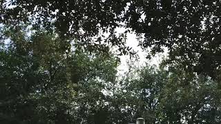 Nice sunny day to ride Hersey park part 6