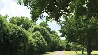 Nice sunny day to ride Hersey park part 5