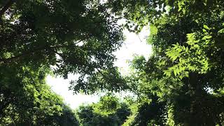 MTB first ride at Cullinan Park trails part 1