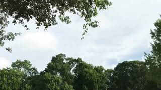 Riding Hersey trails MTB workout part 4