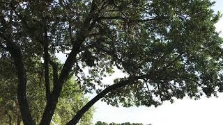 Ride with me Hersey park MTB workout part 2