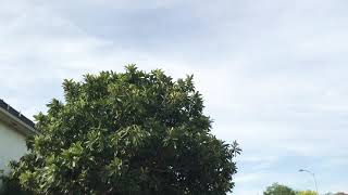 Mountain bike workout part #4