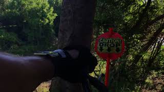 Awesome ride on kings trail
