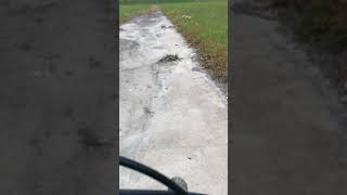 MTB Texas Bike Riders Hersey trails new adventure