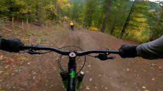 Contra to Traildog, local trails in Fernie, BC