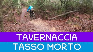 MTB Roveta 30.12.2023 sentiero TAVERNACCIA -...