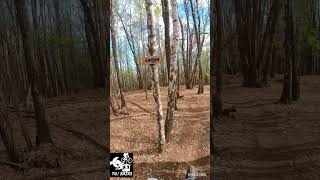 Trail Samba