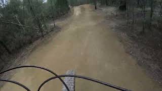 Green Ant Meehan Range (Clarence MTB park)
