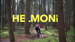 Een rollercoaster van negen kilometer // MTB...