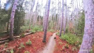 Turkey Point Wedowmaker intermediate trail