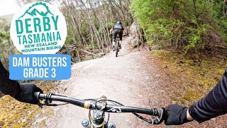 Flowy and Scenic  Dam Busters | Derby MTB Tasmania