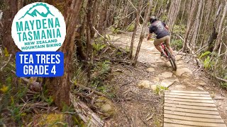 The Way To The Steep Side | Tea Trees Trail -...