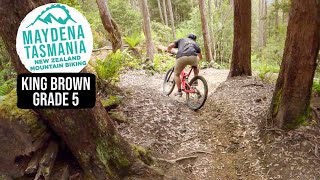 Big Bowly Steep Corners | King Brown Trail -...