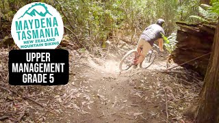 Fast Loamy and Natural | Upper Management...
