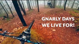The GNARLIEST Downhill & Freeride Runs...