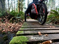 Revival