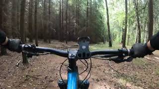 Lößnitz MTB - Buchenberg Enduro Trail