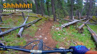 Shhhhht! | Moose Mountain, AB